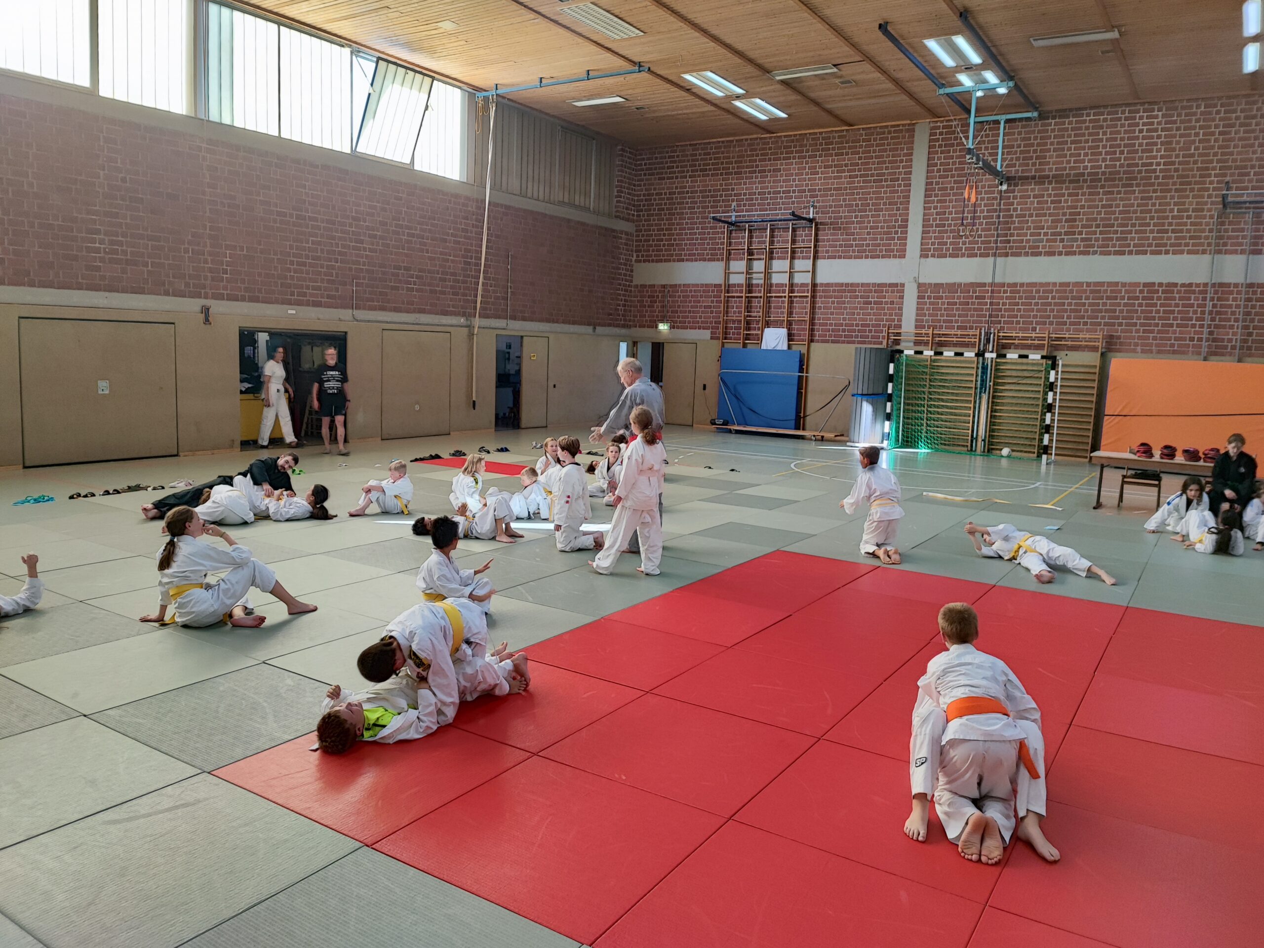 Jiu-Jitsu-Kinder-Landes-Techniklehrgang in Seeheim-Jugenheim